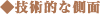 技術的な側面